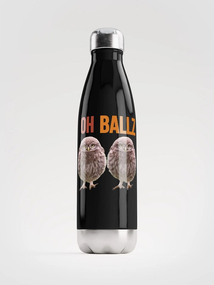 Oh Ballz Stainless Steel Bottle product image (2)