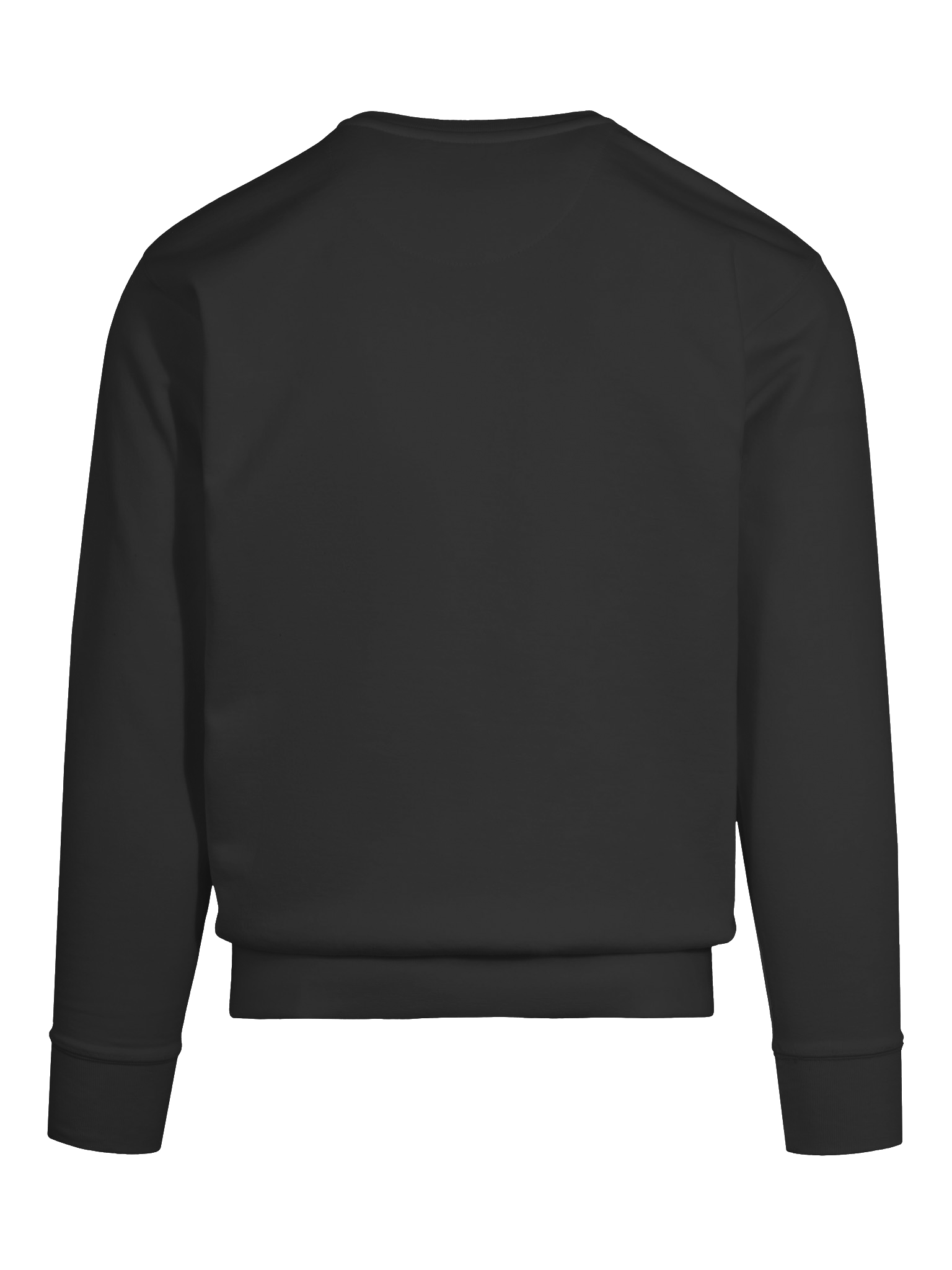 Success Mindset Sweatshirt product image (62)