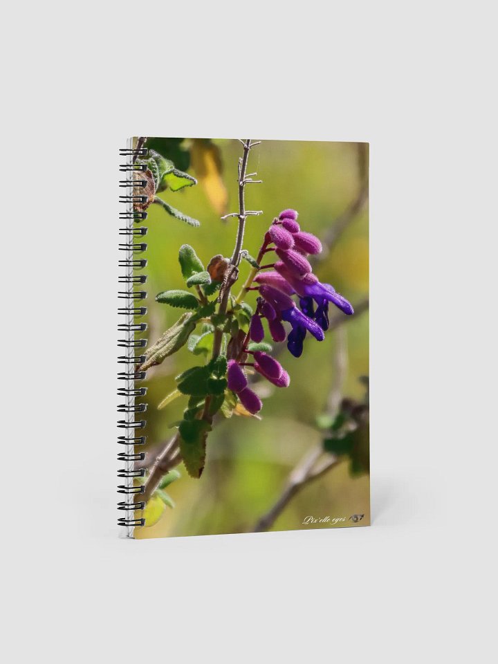 📘 Notebook Collection PURE – Jardin du Rayol – Salvia royale product image (1)