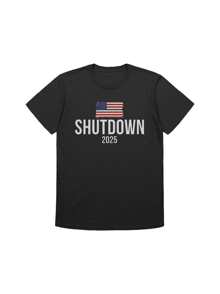 The Shutdown 2025 USA Flag T-Shirt product image (1)