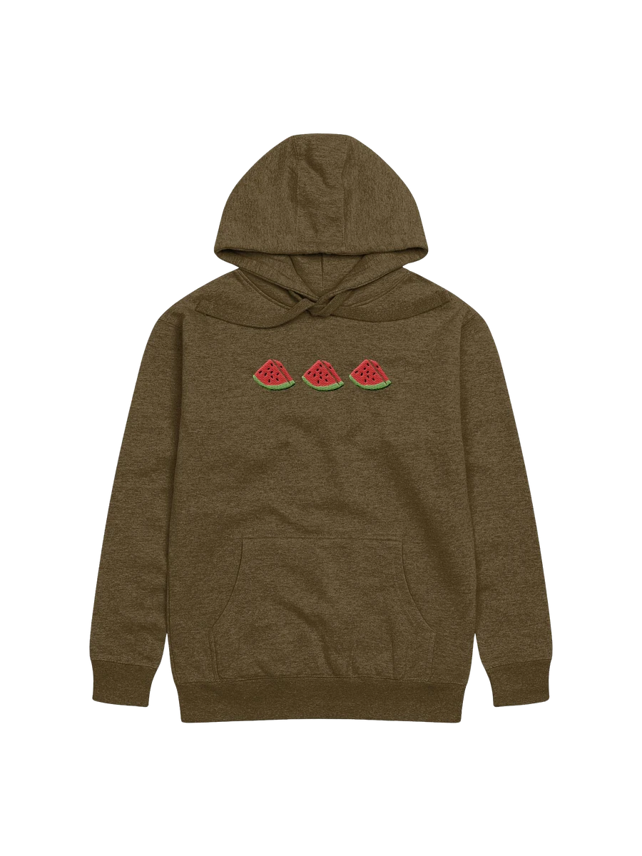 Sandia Embroidered Hoodie (green) product image (1)