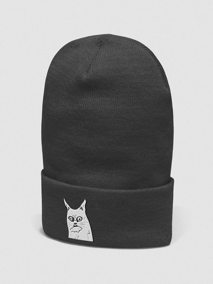 WEIRD FUCKIN CAT BEANIE product image (7)