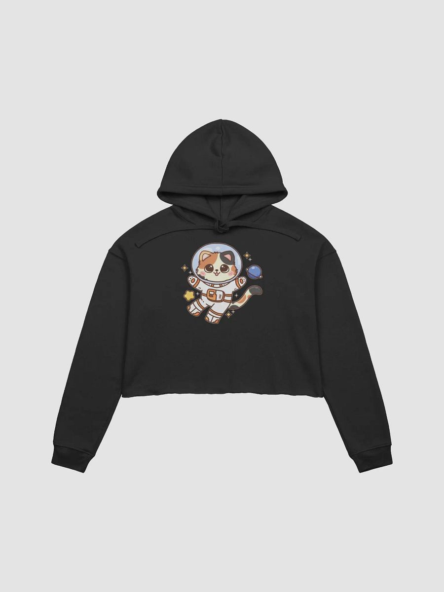 Crop Hoodie product image (1)