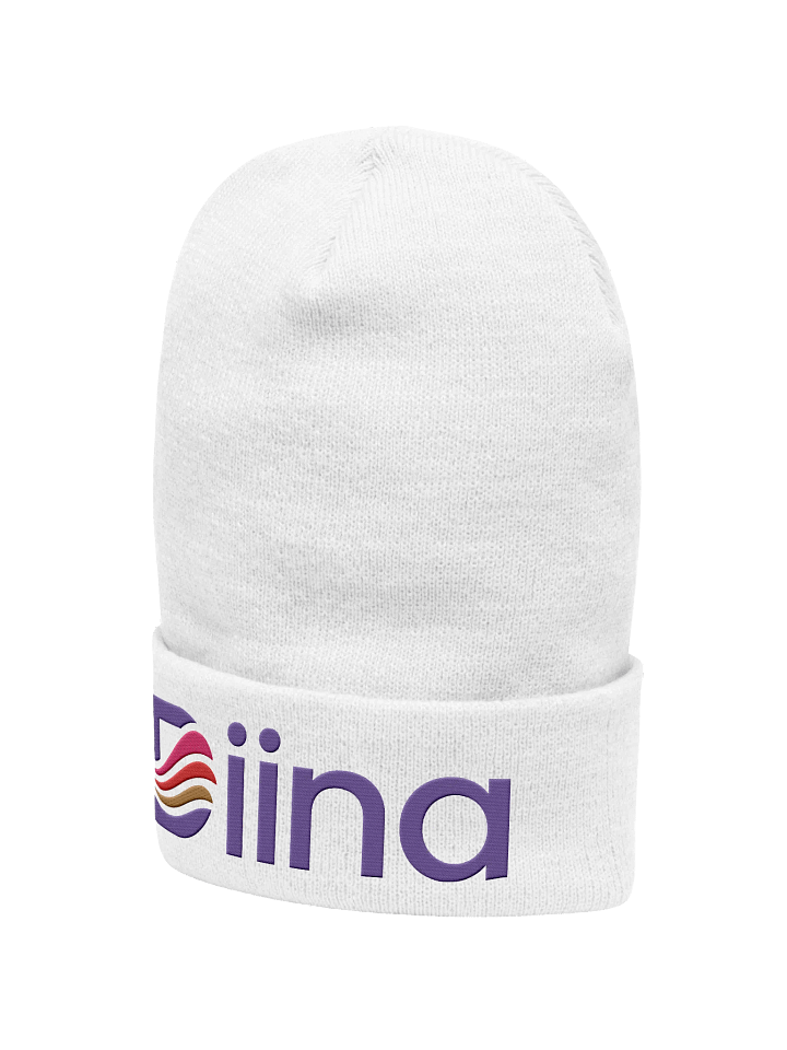 Diina Logo Embroidered Beanie product image (2)