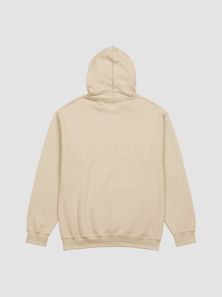 "R" is for REVENGE - Pull over hoodie product image (11)