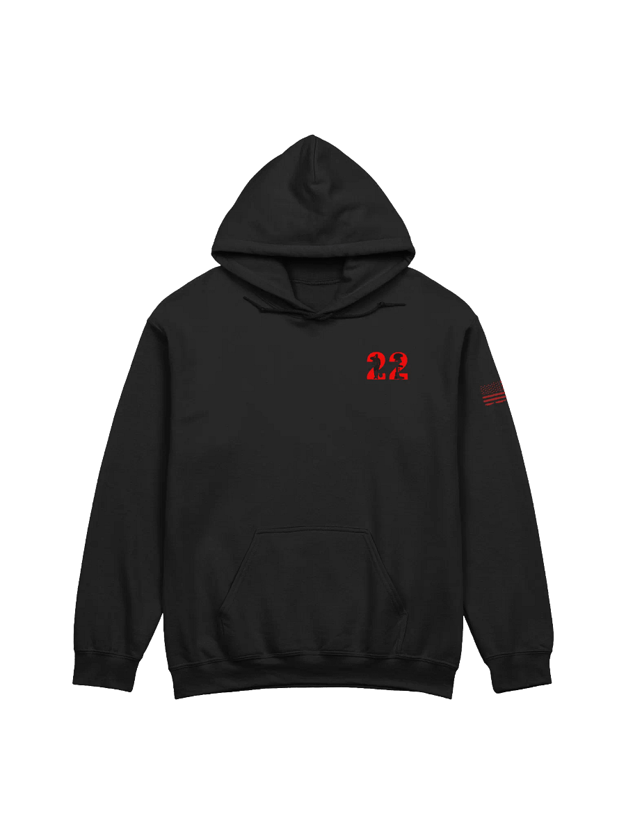VB422 HOODIE product image (1)