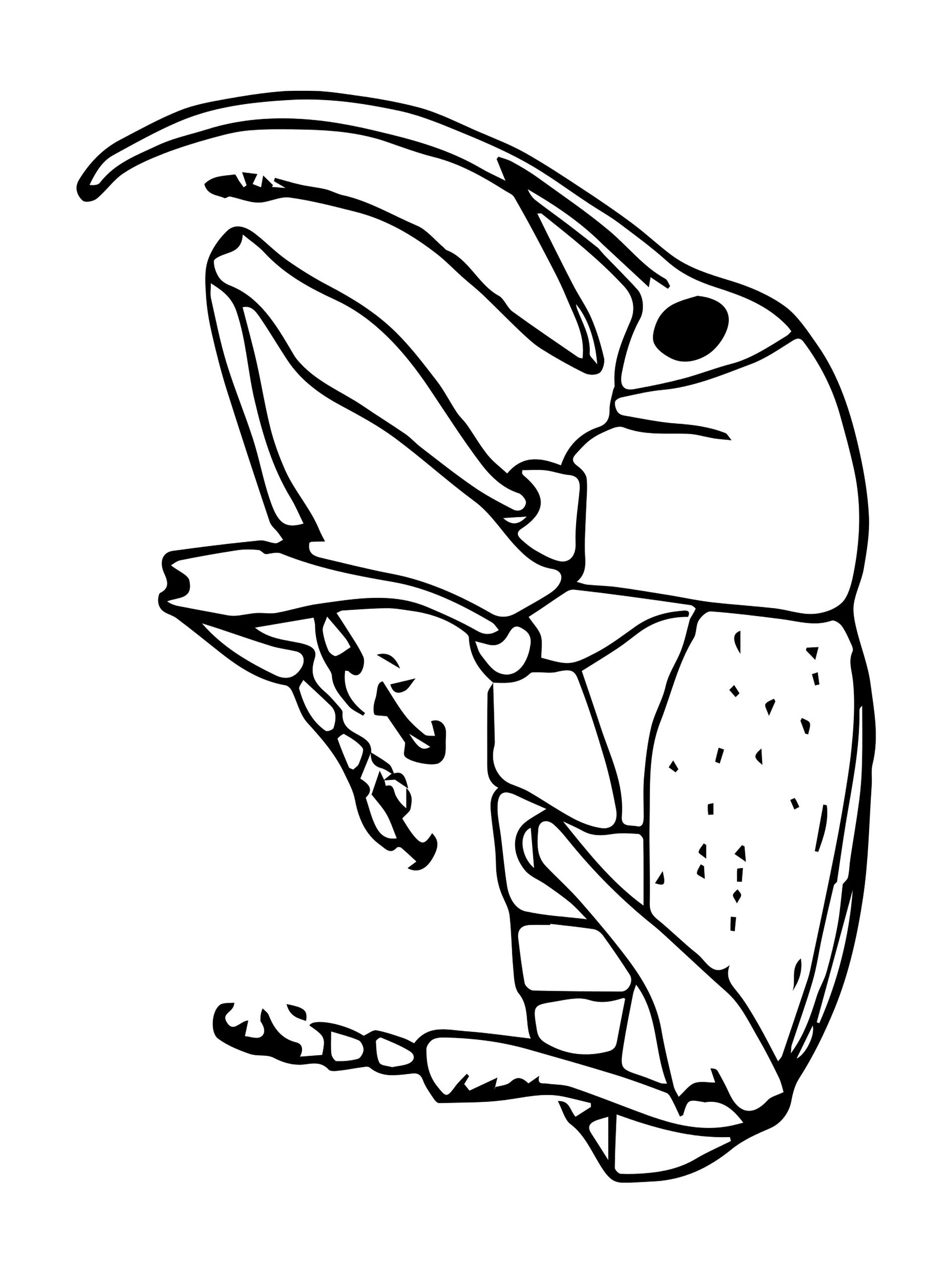 Bugs Aren't Icky A Coloring Book for Kids product image (4)