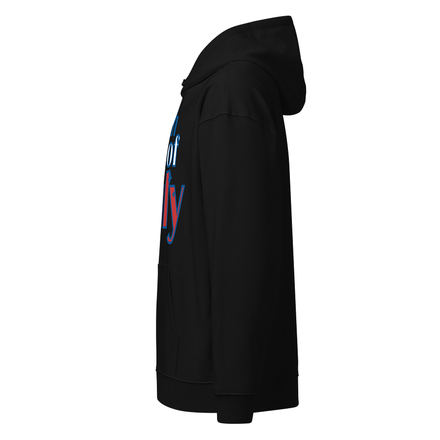 Star-Spangled 4th of July Organic Hoodie product image (9)
