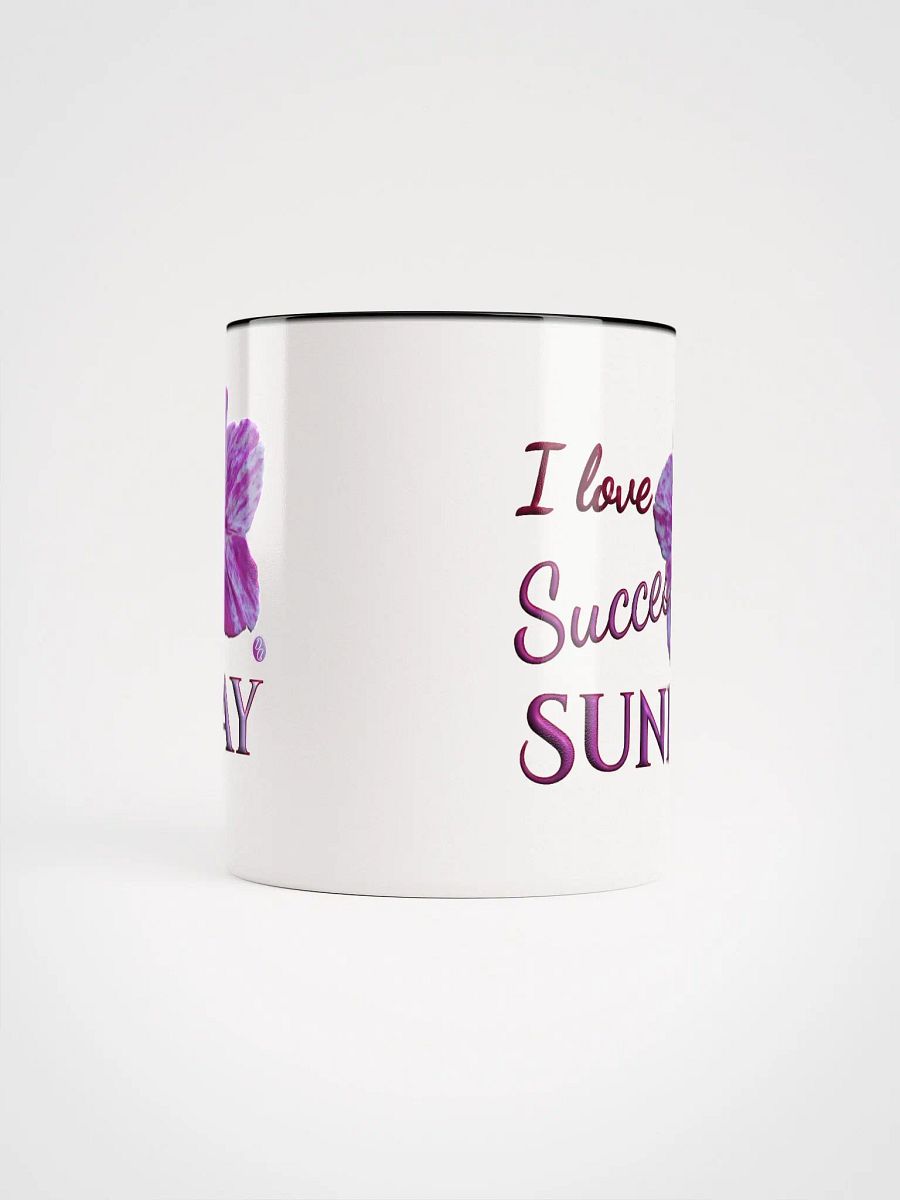 Success Sunday product image (61)