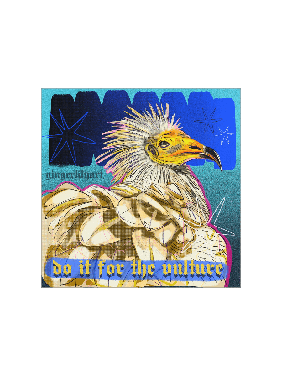 egyptian vulture print product image (1)
