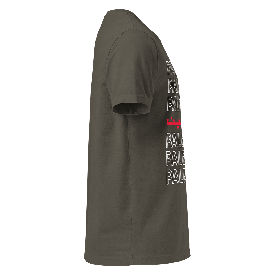 Palestine Oversized Unisex T-shirt product image (8)