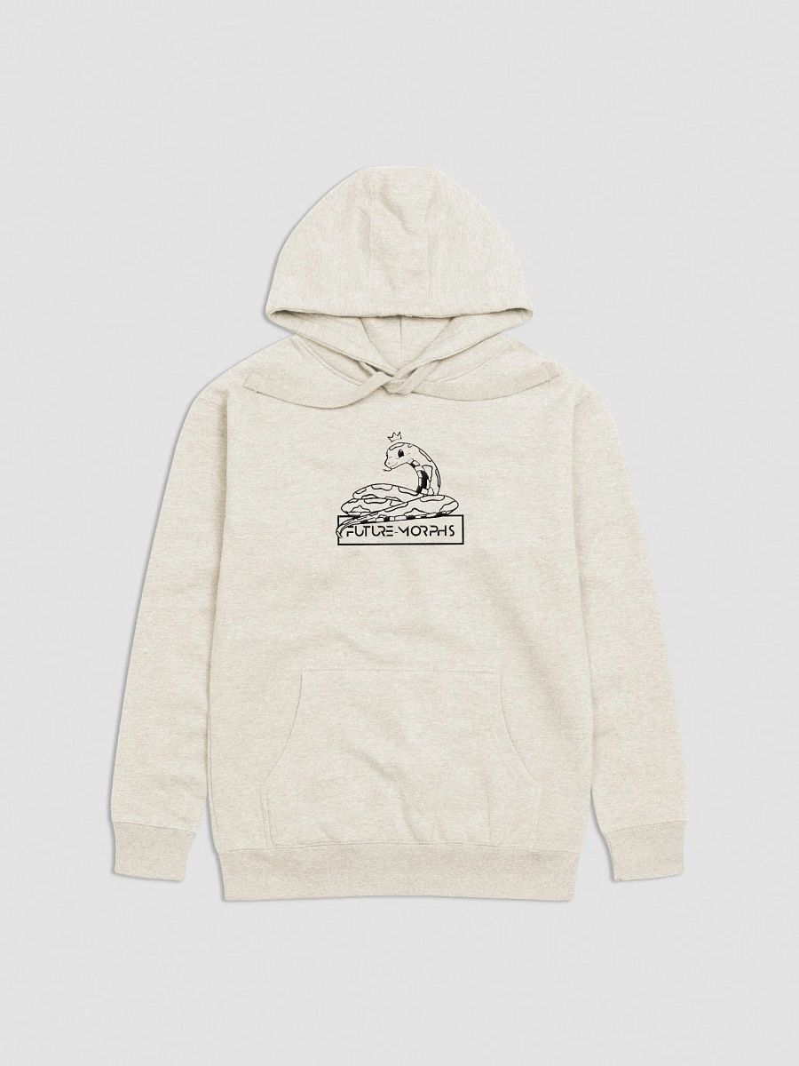 New Logo Hoodie Embroided product image (1)