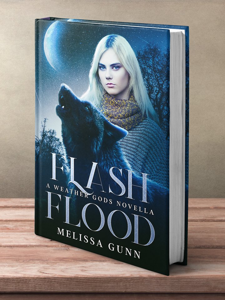 Flash Flood paperback product image (1)