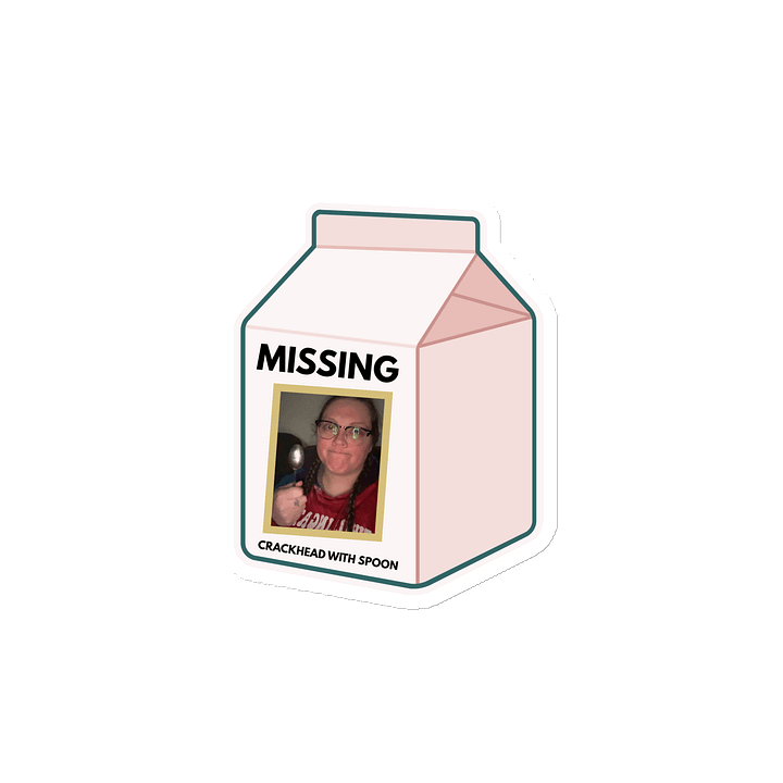 Missing Milk Carton Magnets product image (2)