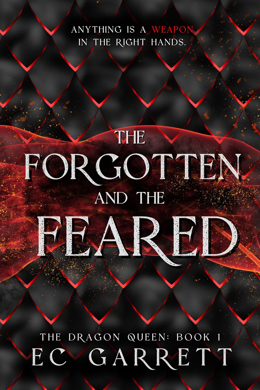 The Forgotten and The Feared 2nd Edition Paperback product image (1)