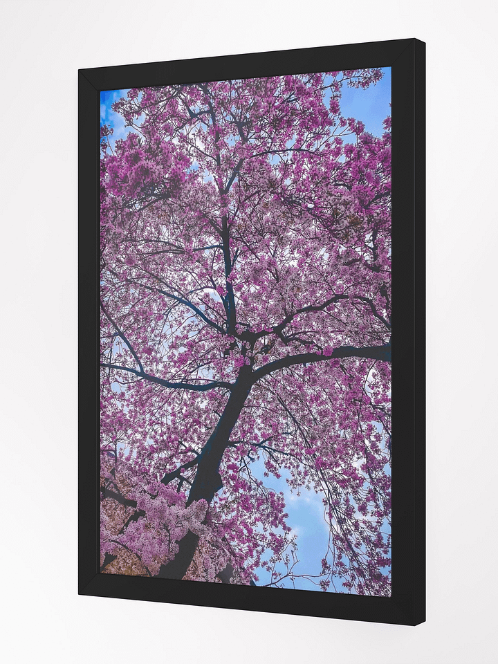 Blush In Bloom (FRAMED) product image (2)