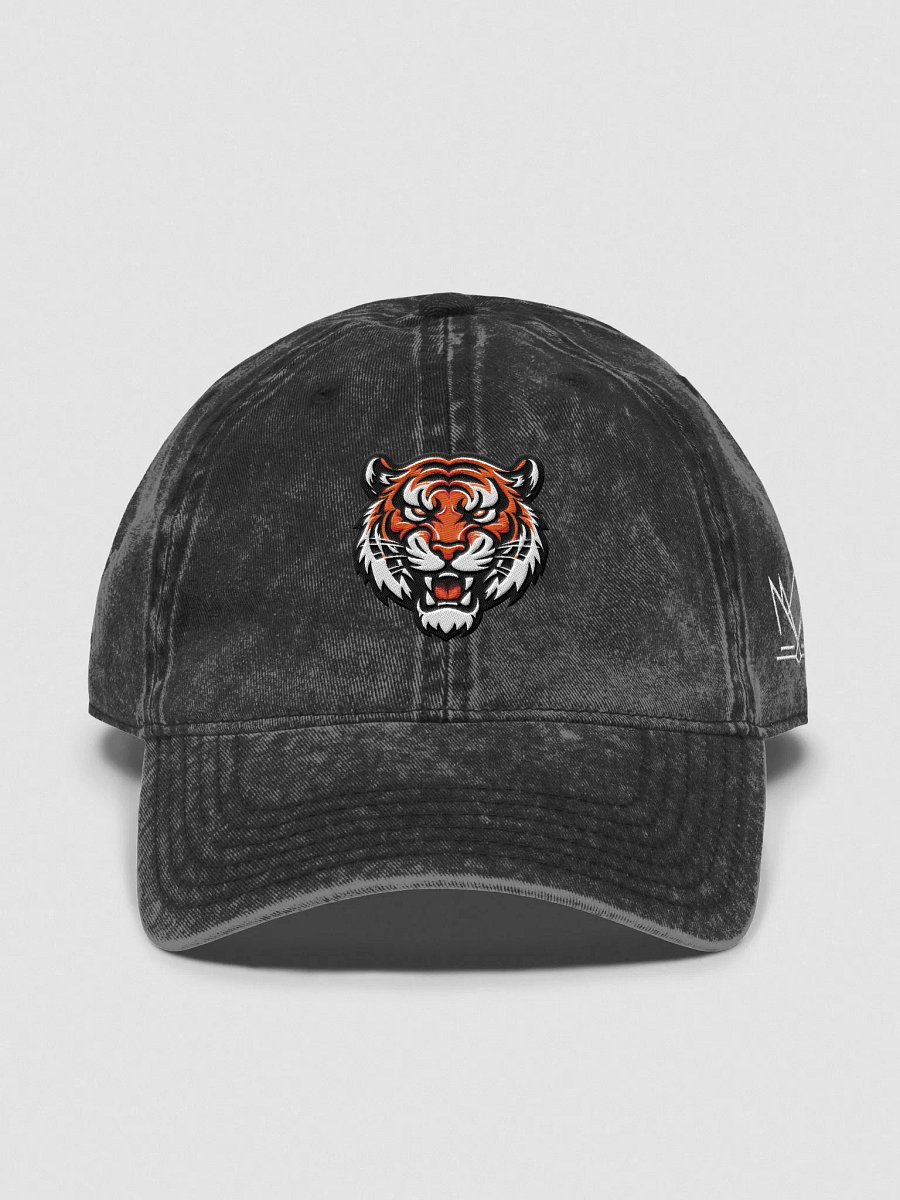 Wichita Wild Wash Dad's Hat product image (1)