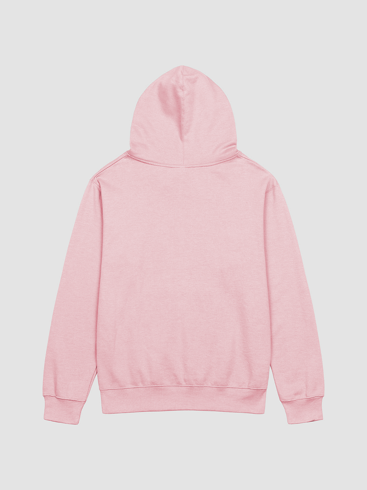 I HOPE BOTH WRESTLERS HAVE FUN - HOODIE product image (2)