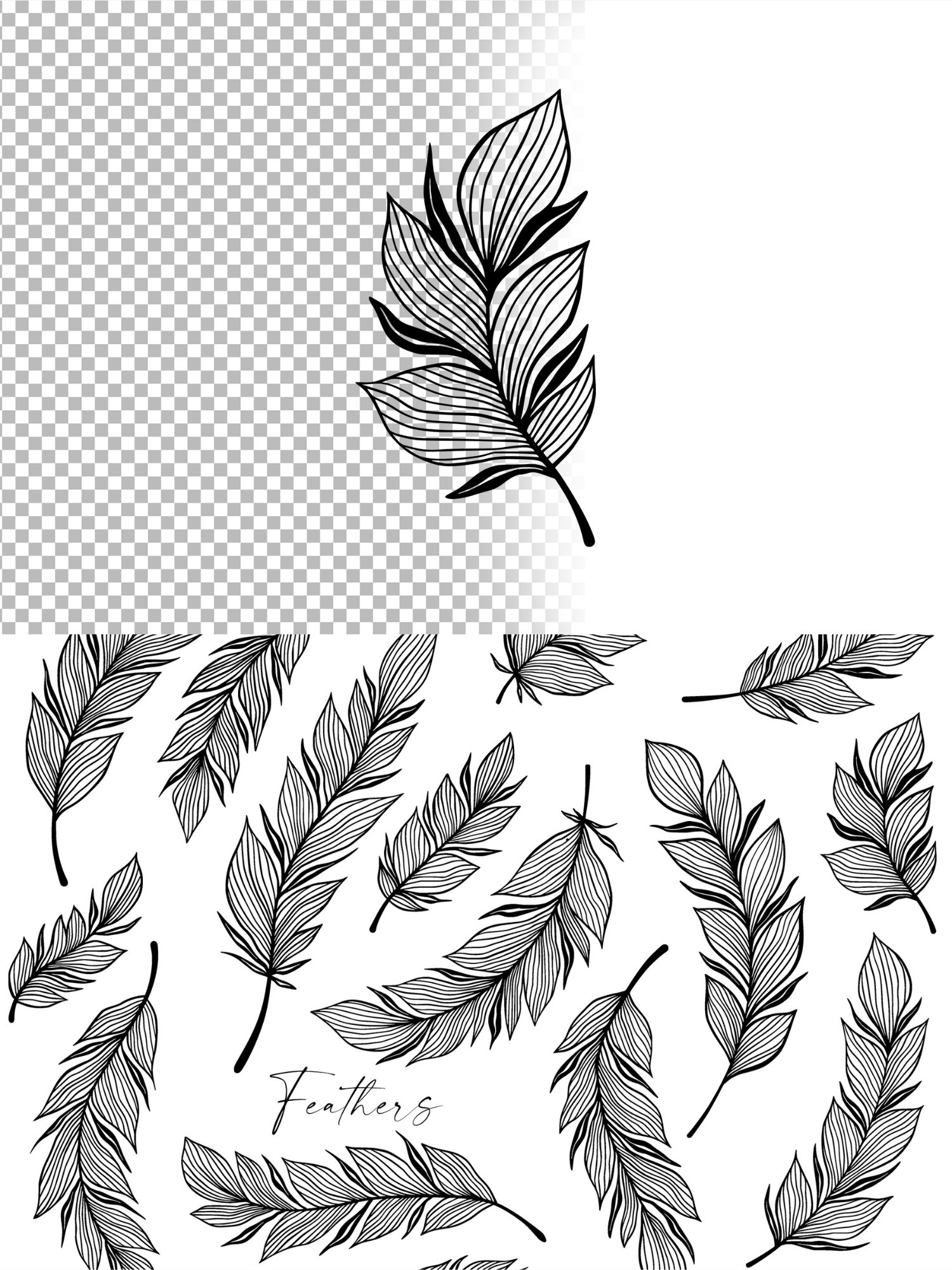 Elegant Line Art Feathers Collection product image (5)