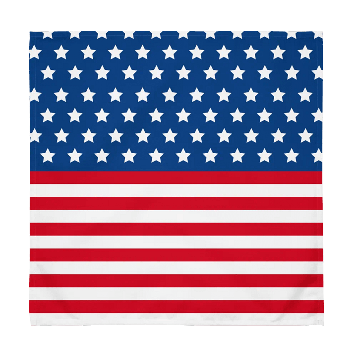 Exclusive Patriotic United States Flag Cloth Napkin Set (4) - Dining Decor product image (2)