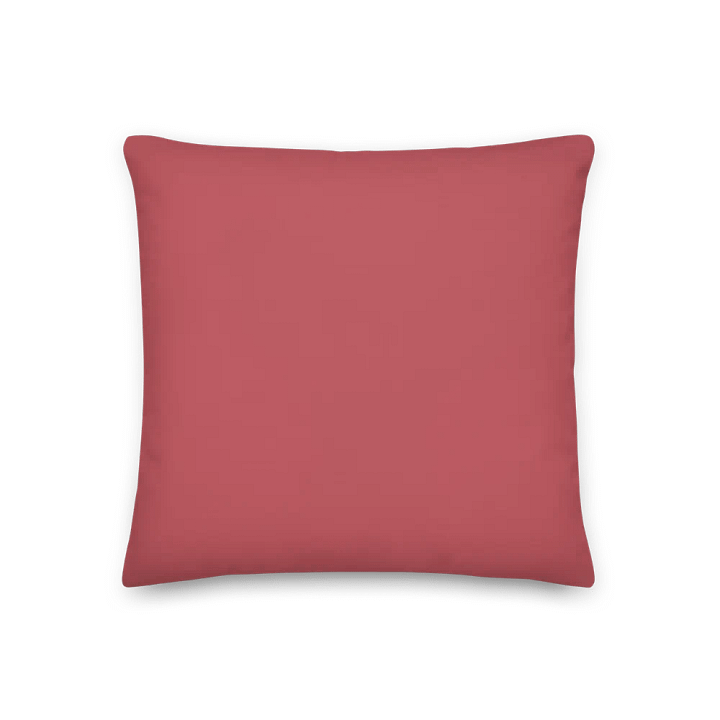 Bookish Vibes Only Floral Pillow - Pink product image (2)