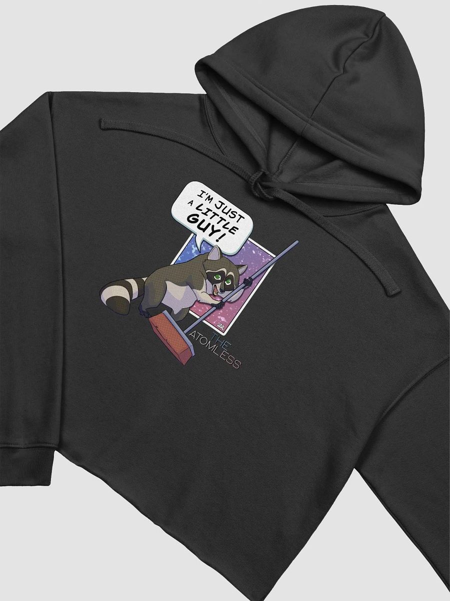 Guy the Racoon Crop Hoodie product image (12)