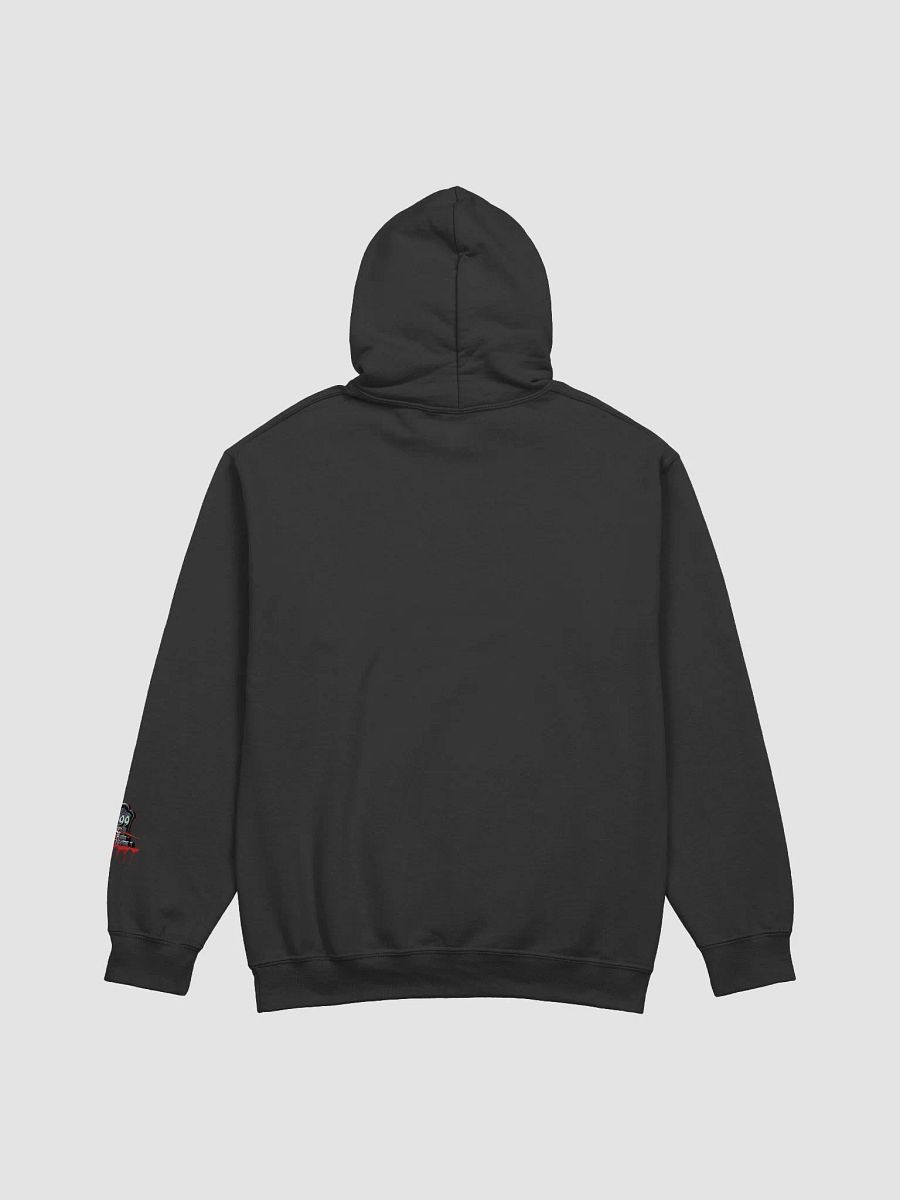 Todd & Lou: Death of TheMr999 Hoodie product image (27)