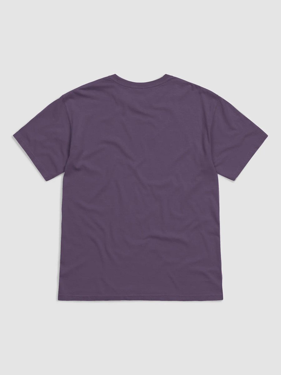 The Cemetery Wanderer Raven's Rest Gothic T-Shirt product image (22)