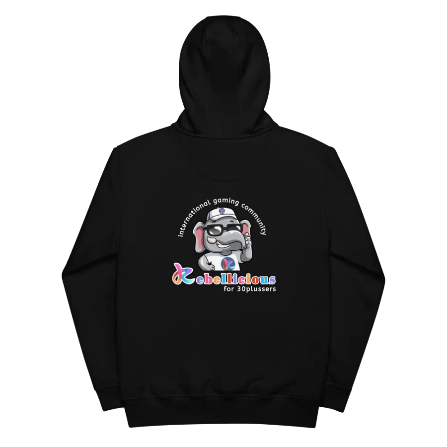 Rebellicious Sunglasses Eco Hoodie product image (4)