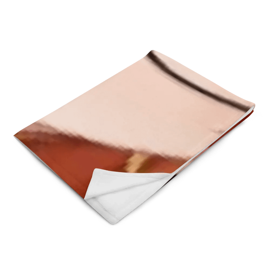 Stupid F***ing Blanket product image (5)