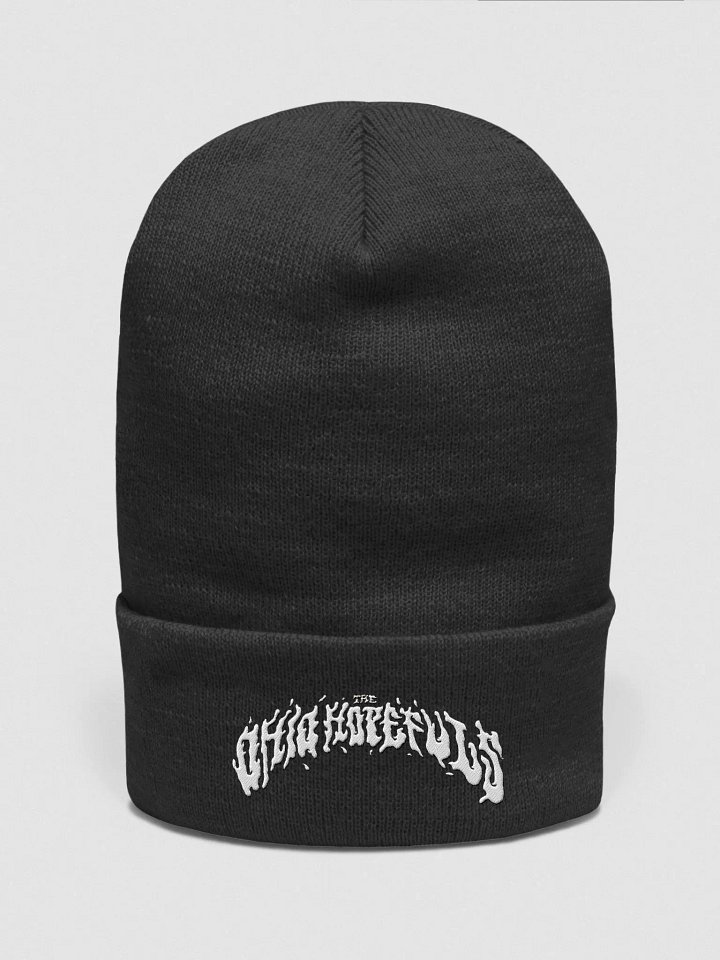 Embroidered Logo Beanie product image (1)