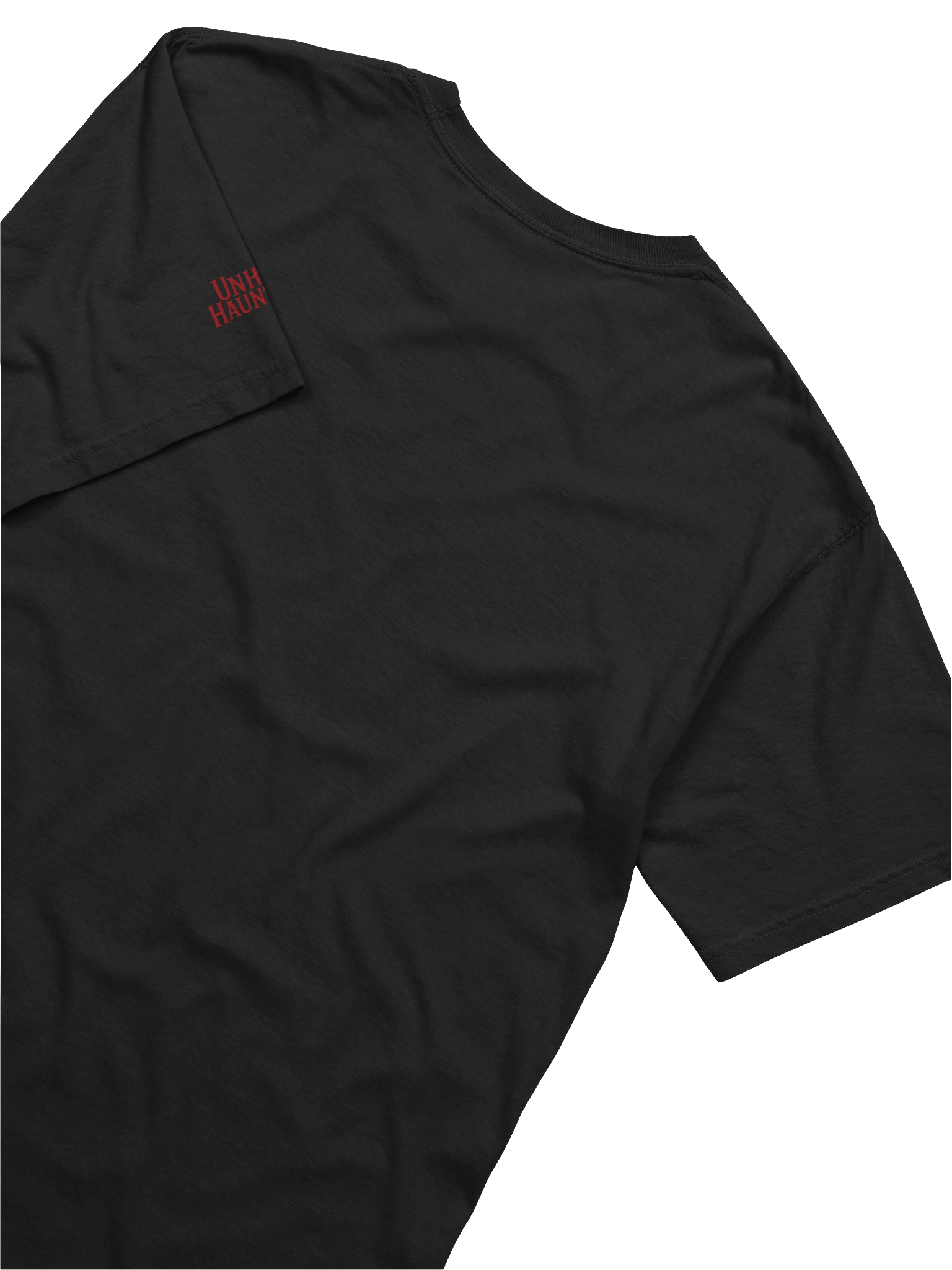 Unholy Hauntings HC Black Tee product image (6)