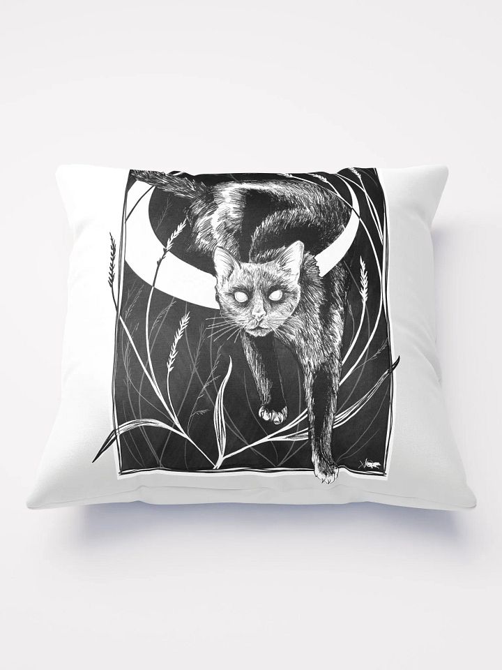 Bad Luck Pillow product image (1)