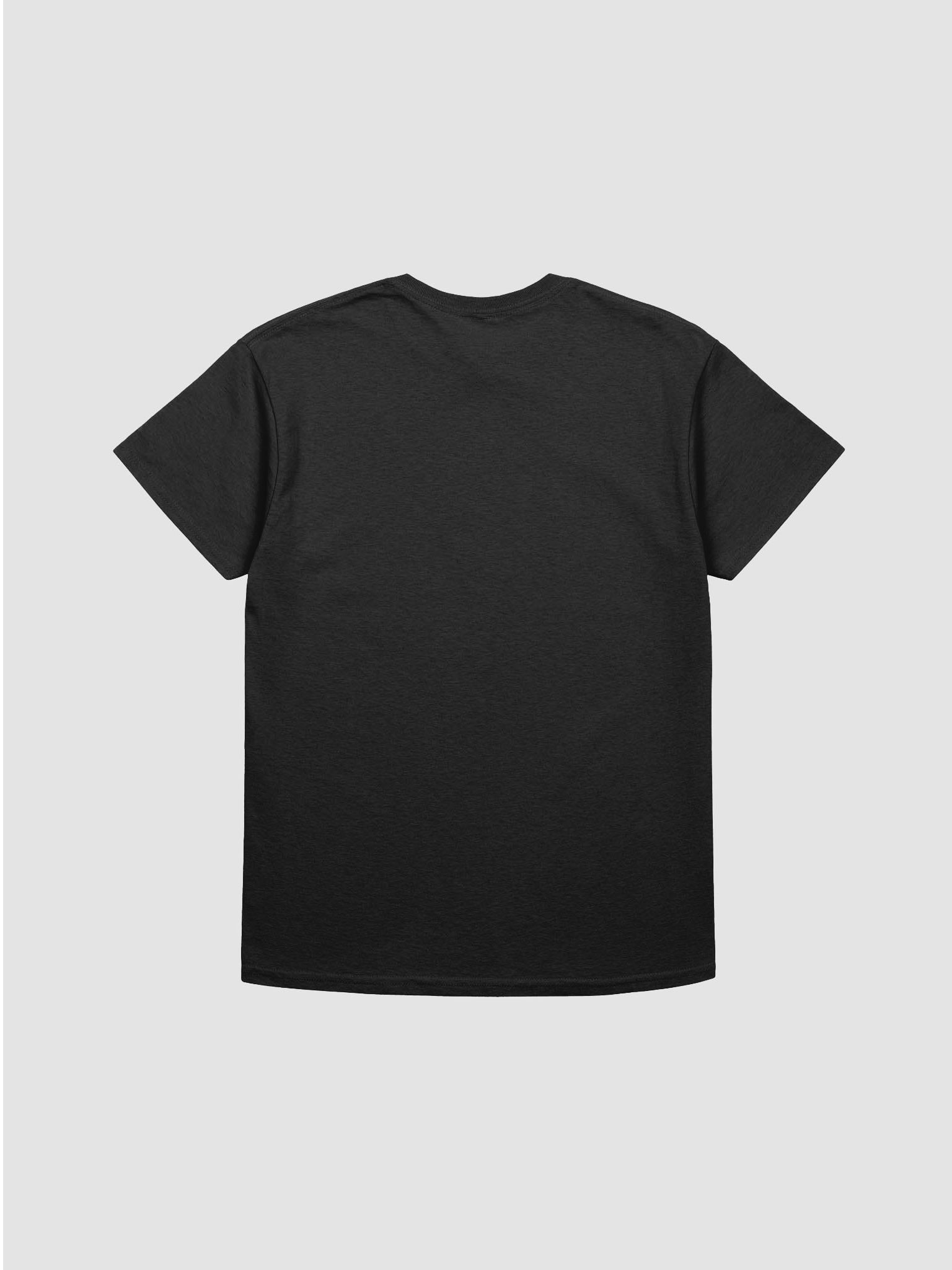 EXTRAORDINAIRE IMMIGRANT TSHIRT product image (2)