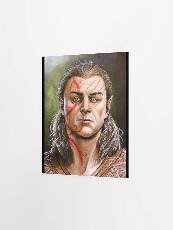 Baldur's Gate 3 Halsin Matte Print product image (2)