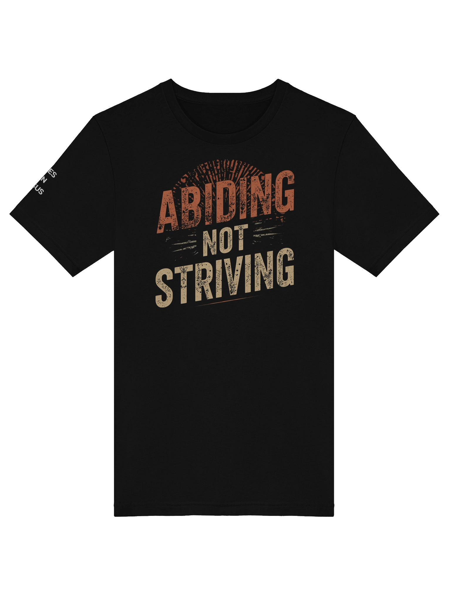Abiding Not Striving T-shirt product image (5)