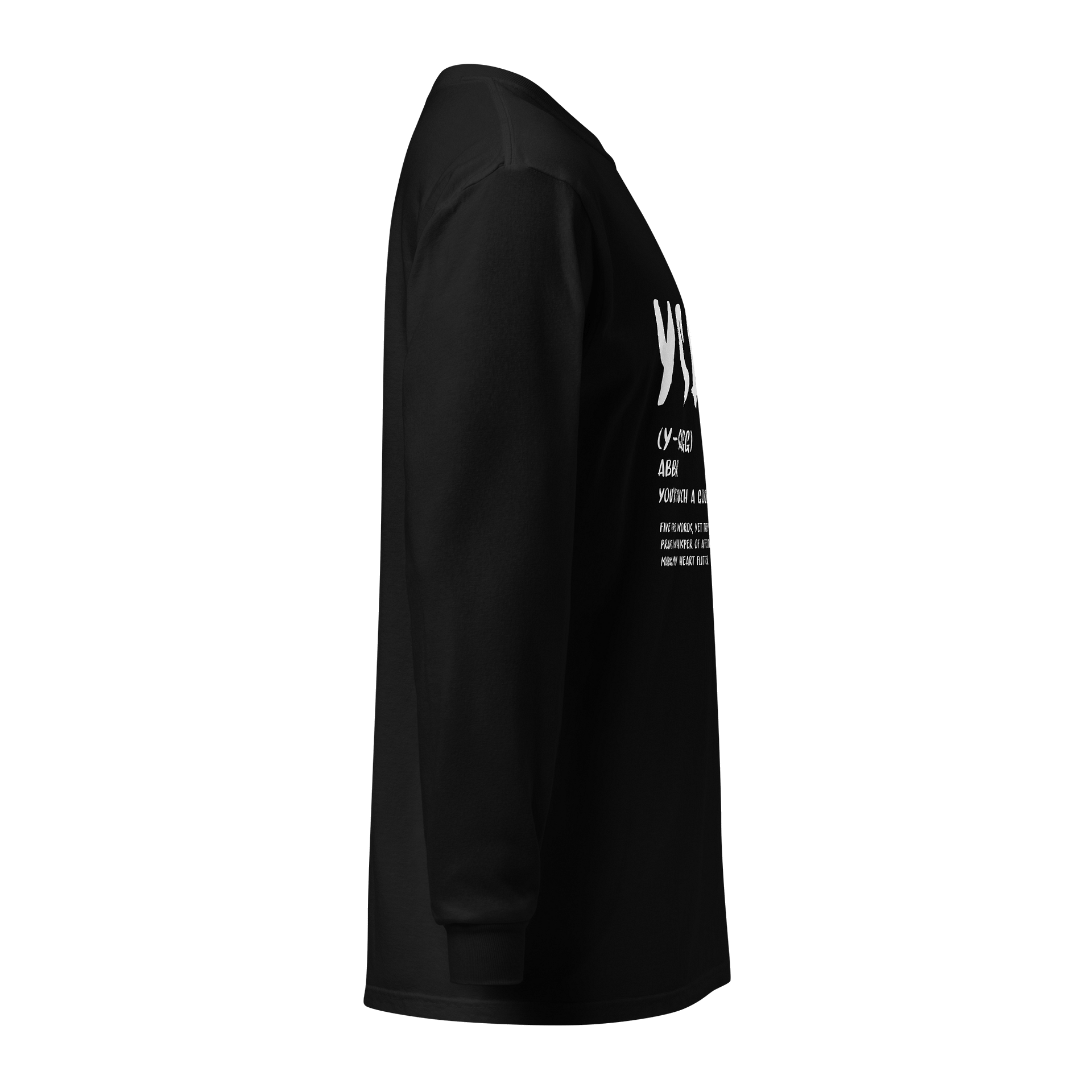 YSAGG Definition Long Sleeve product image (4)