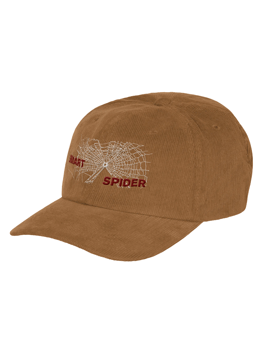 Smart Spider Corduroy Dad Hat product image (3)