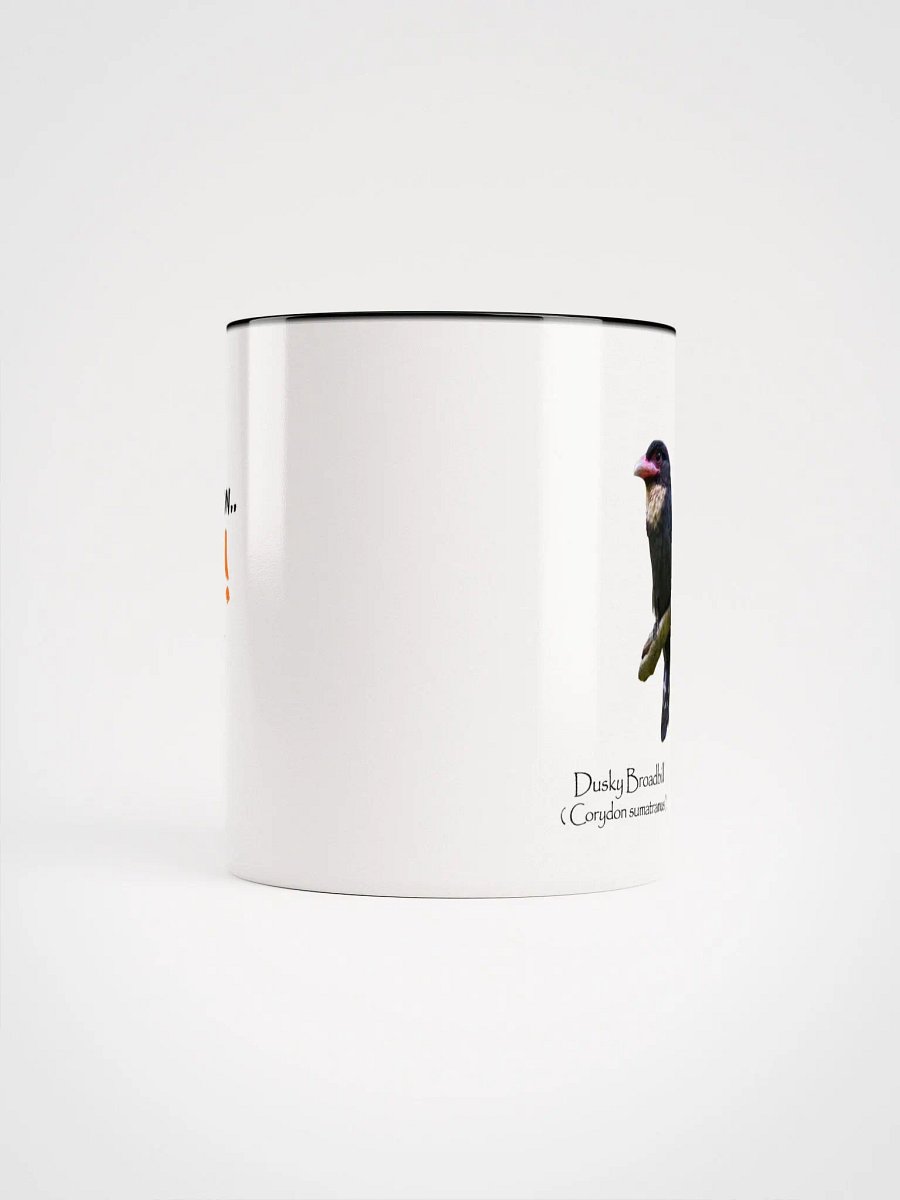 Dusky Broadbill product image (46)