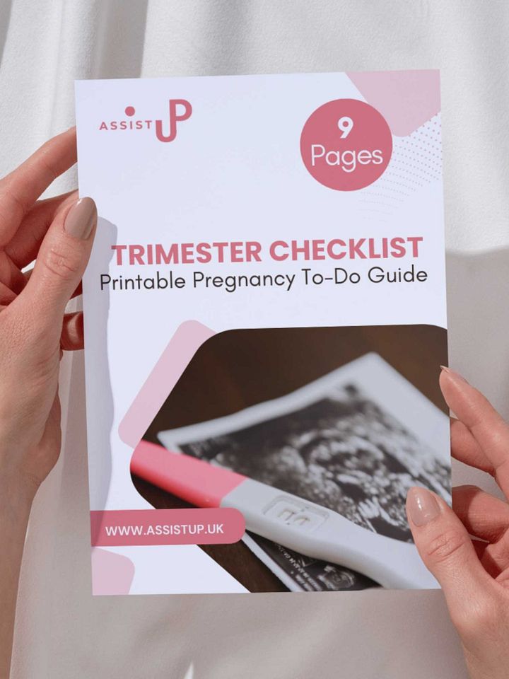 Printable Pregnancy Trimester Checklist product image (1)