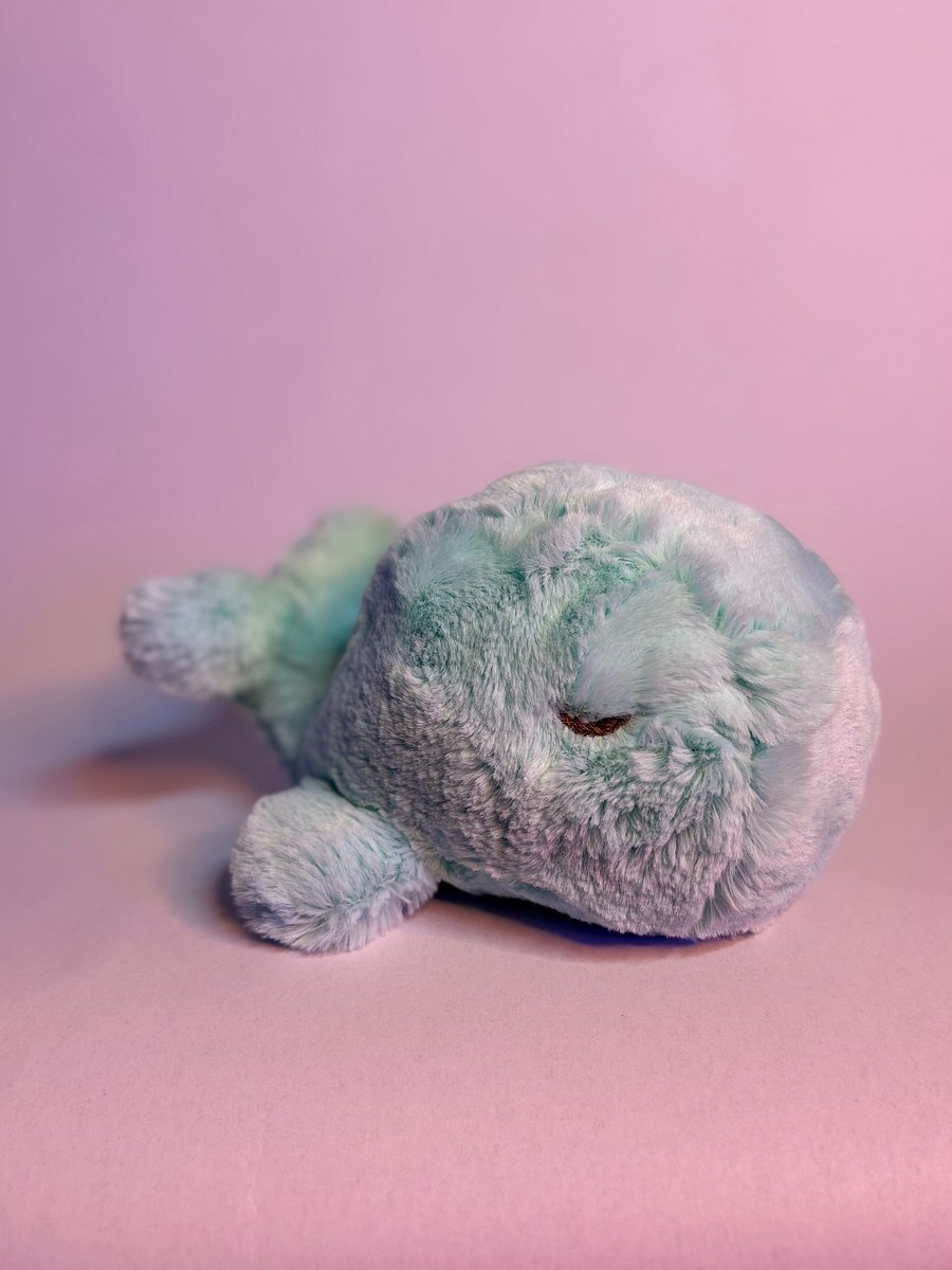 Sleepy Whale product image (5)