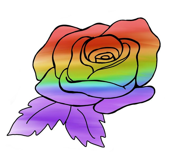 Rainbow rose product image (1)