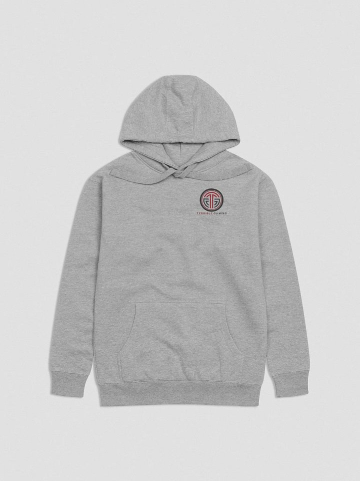 Terrible Praise Hoodie product image (3)