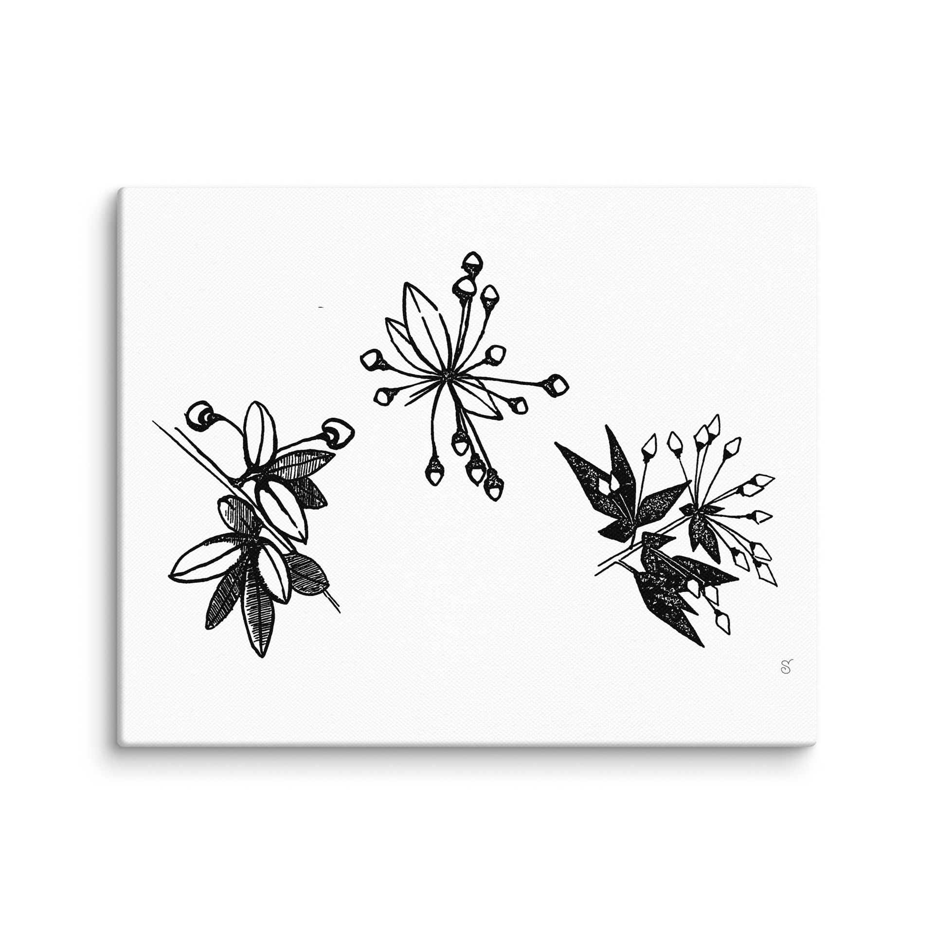 Blank Canvas Masterpieces - Stylized Plants product image (1)