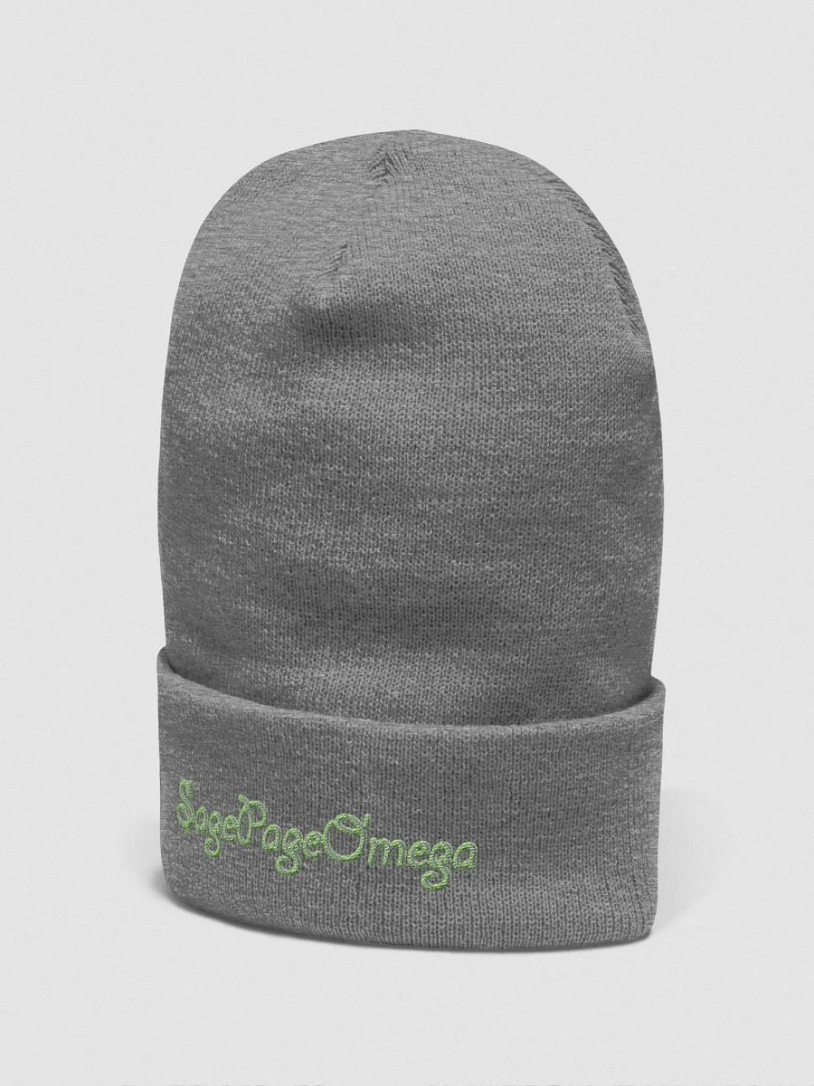 Yupoong Beanie - SagePageOmega product image (3)