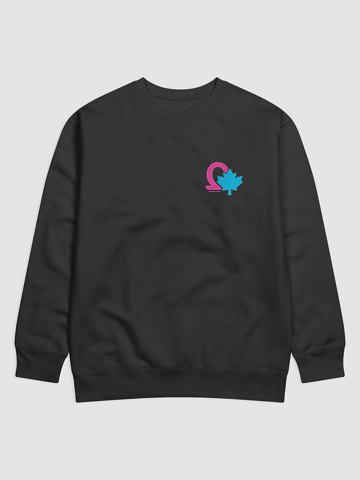 Qweatshirt product image (2)