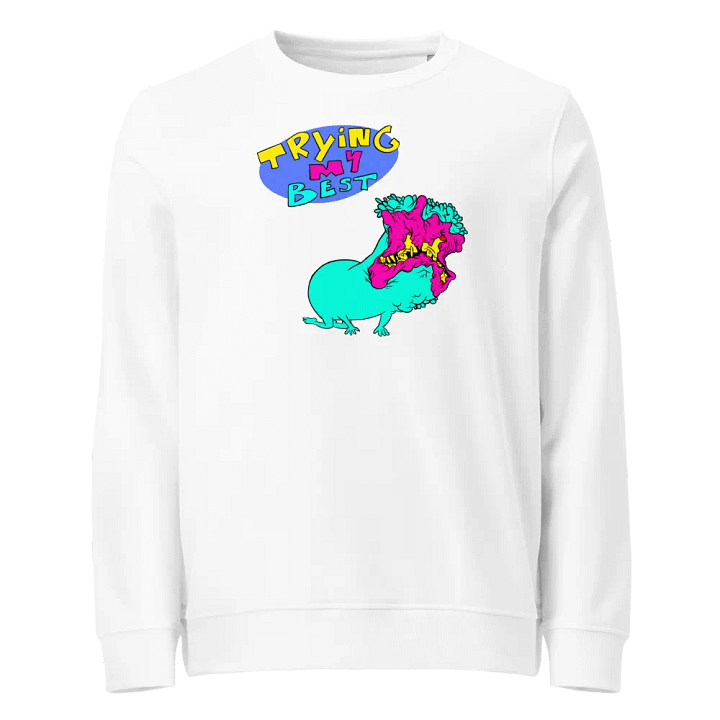 trying my best sweater product image (9)