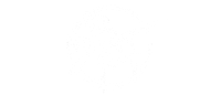 FitMC
