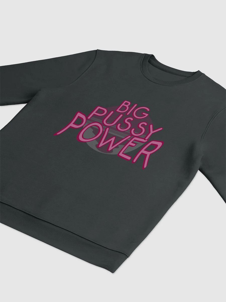 BPP Pullover product image (3)