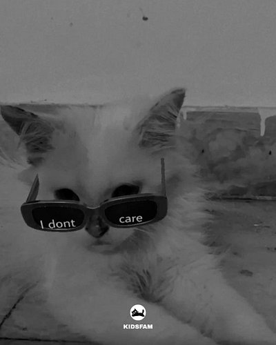 CARE LESS.

🐾 Here’s to CARE FREE Souls 

We are building a Community which feels like HOME to those who have the cat spirit....